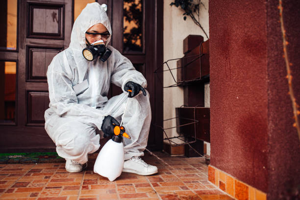 Attic and Crawl Space Rodent Treatment in Fairfield Beach