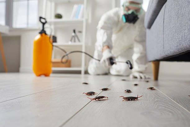 Commercial Rodent Management in Fairfield Beach